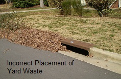 Incorrect Placement of Yard Waste