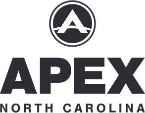 Apex Logo